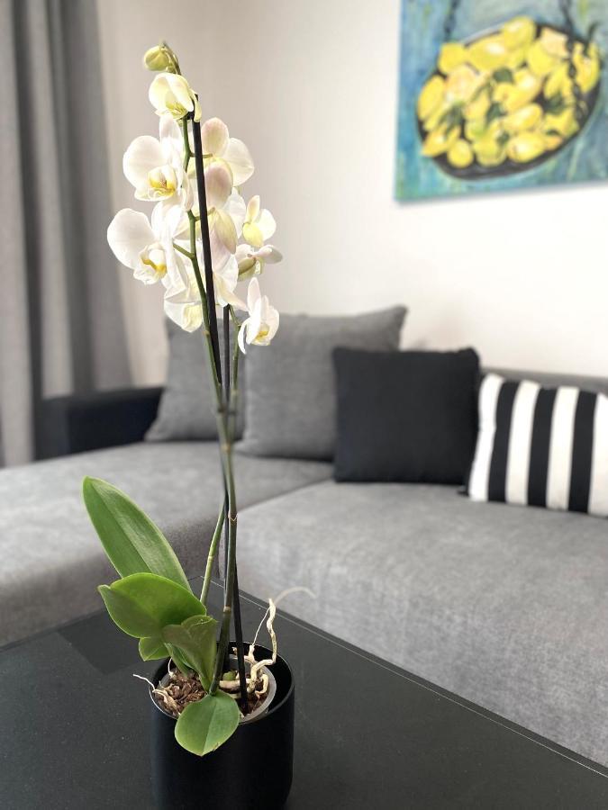 Apartment Loim